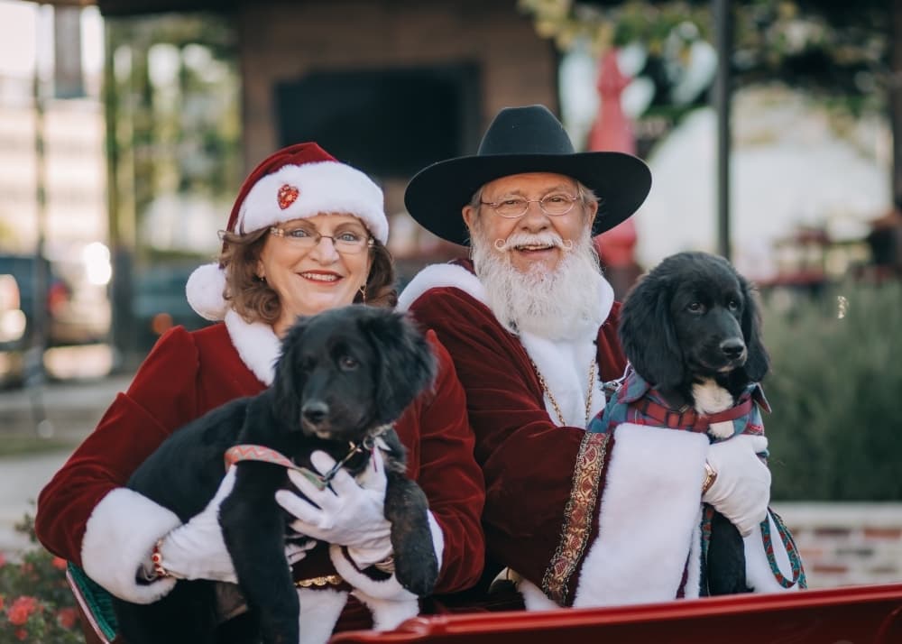 Live Nativity Scene, Holiday at the Harbor: 4 Lake Houston-area events this weekend, Dec. 18-22