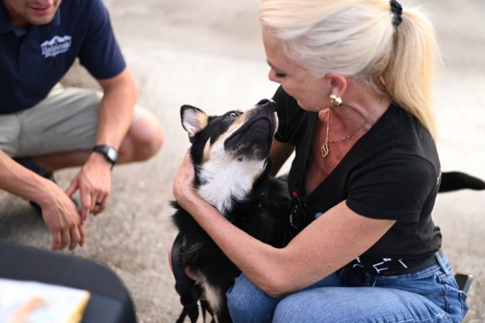 PetSet to unveil new mobile spay-and-neuter clinic serving underserved Houston communities