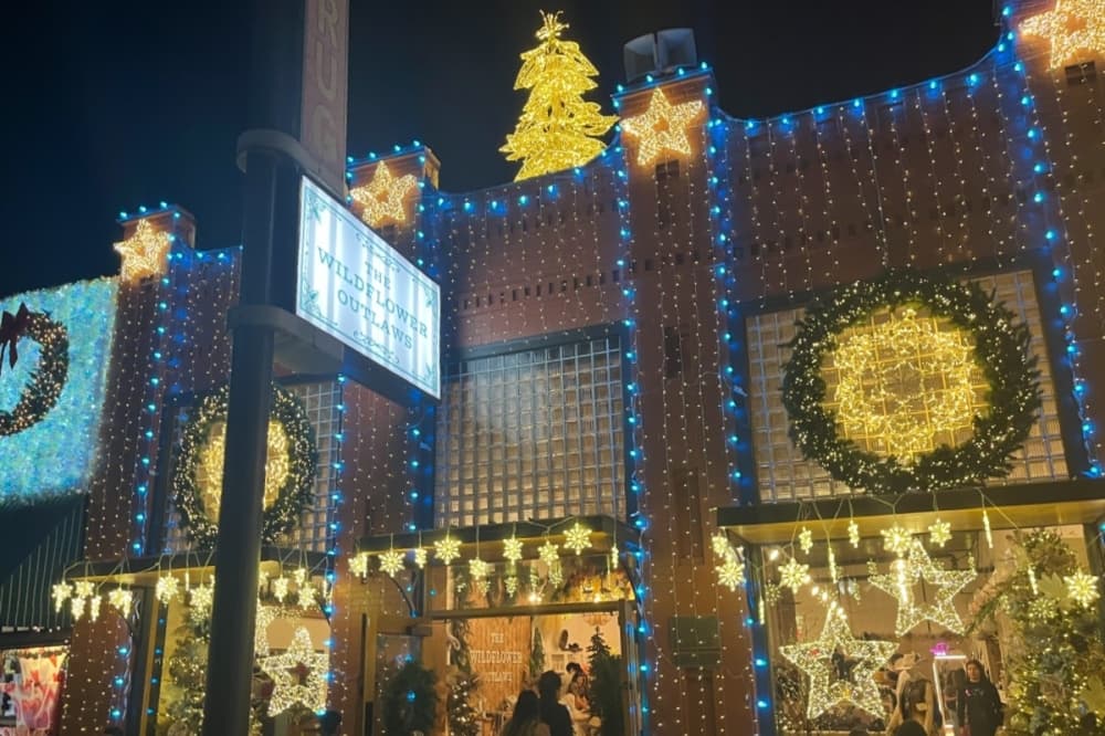 Christmas lights 