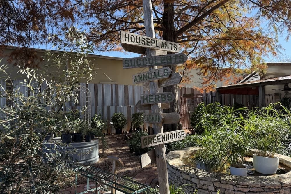 Shades of Green first opened in San Antonio in 1981, off Sunset Road. (Andrew Creelman/Community Impact)