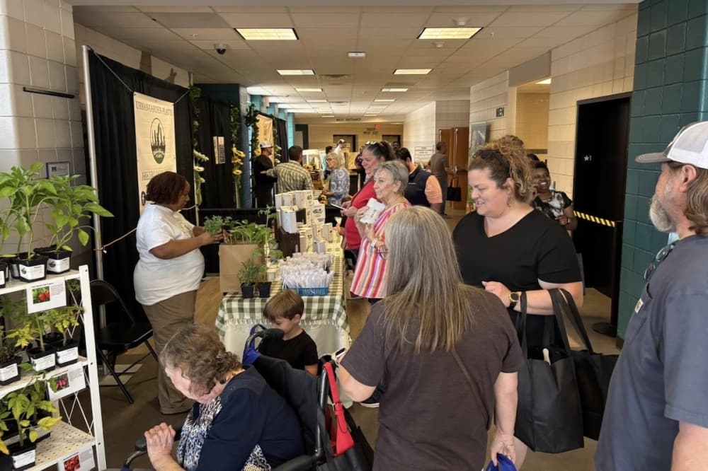10 events scheduled for Boerne, Fair Oaks Ranch this February
