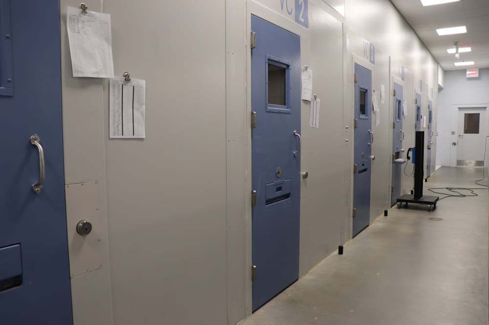 Hays County jail to speed mental health care, cut costs