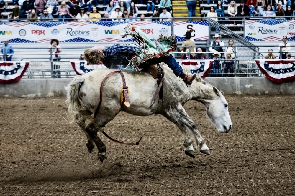 Humble Rodeo, Mardi Gras Ball: 8 Lake Houston-area events to attend in February