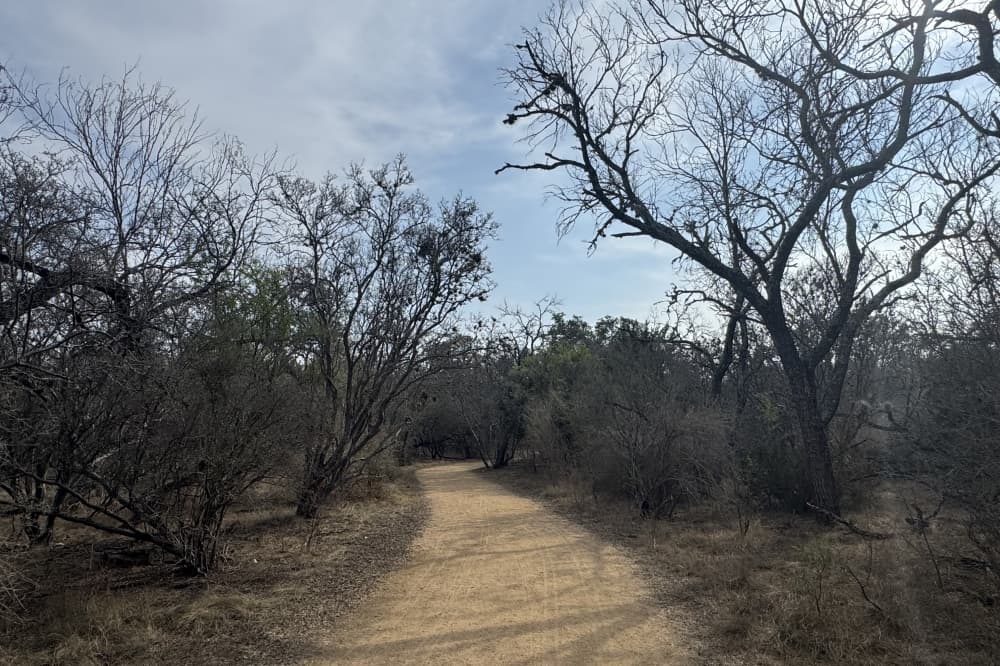 San Antonio eyes new segment of Leon Creek Greenway