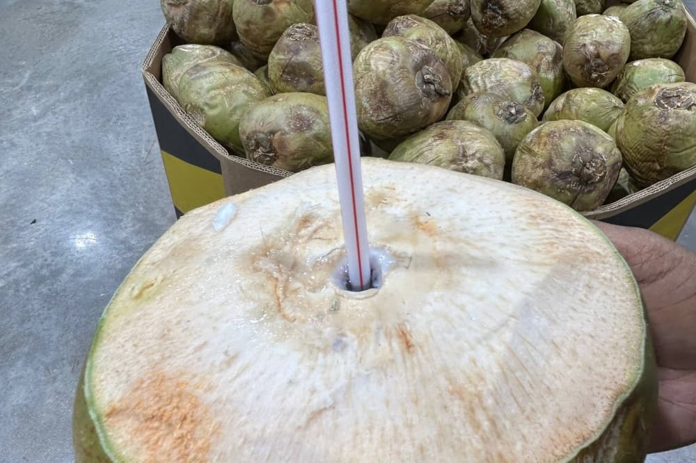Fresh coconut with a hole drilled into it and a straw inserted in the hole. 