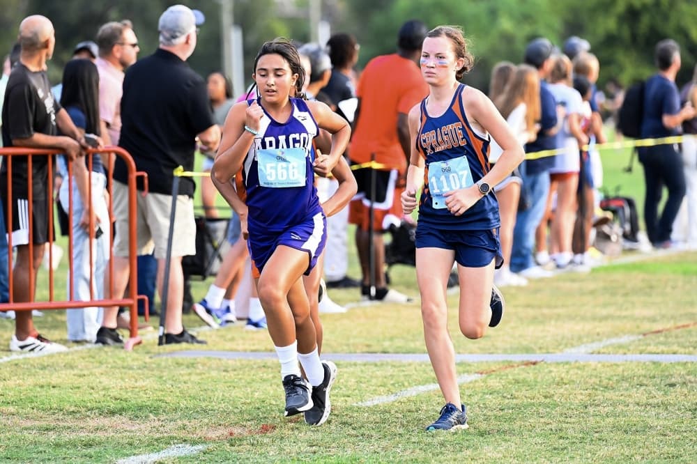 Valentines Party, Superintendent's Fun Run: 10 events taking place in Cypress through March 25
