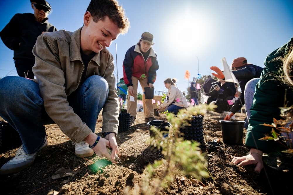 An image of some community members plant trees. 