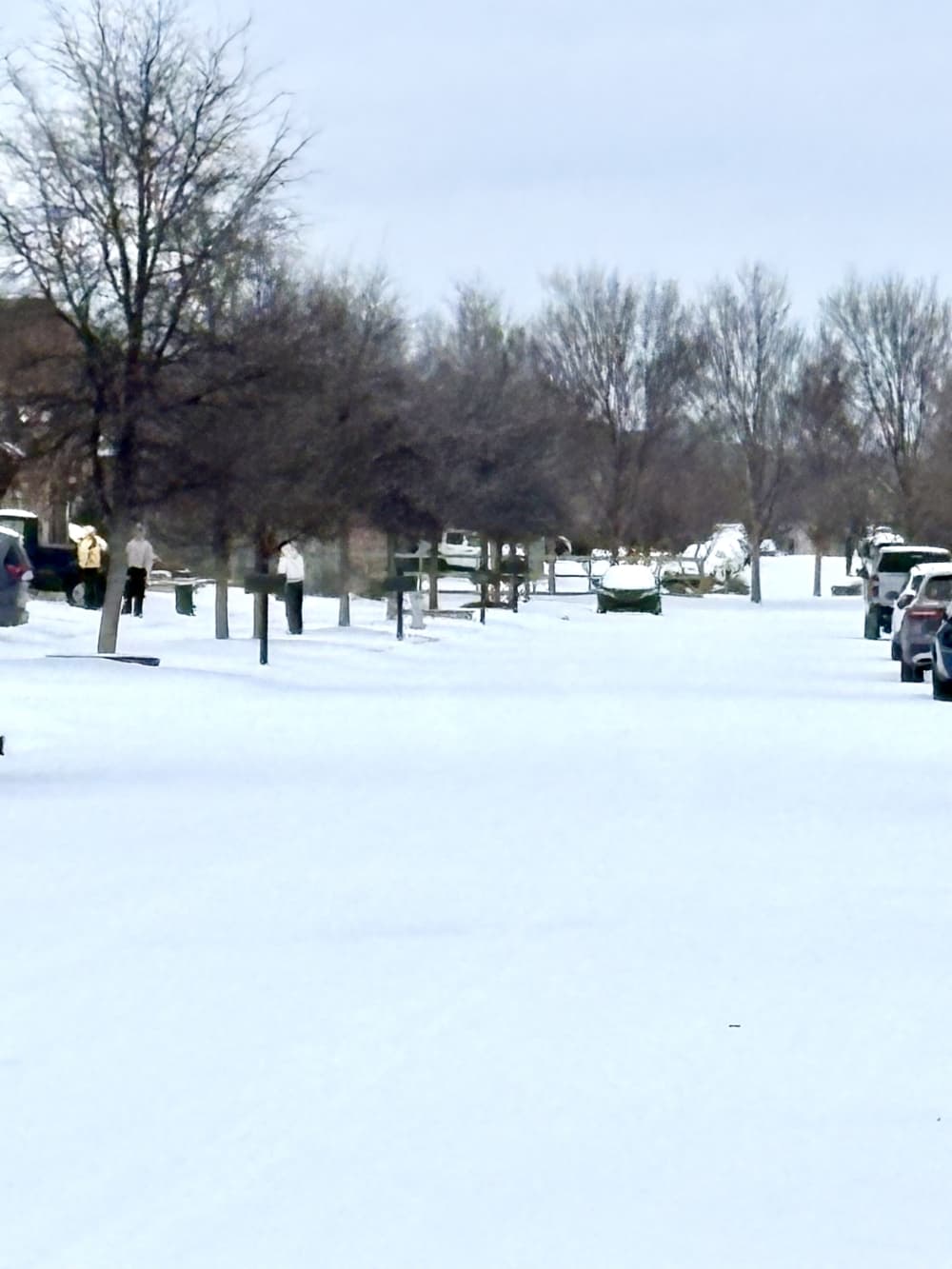An Argyle neighborhood with snow during Winter Storm Fern.