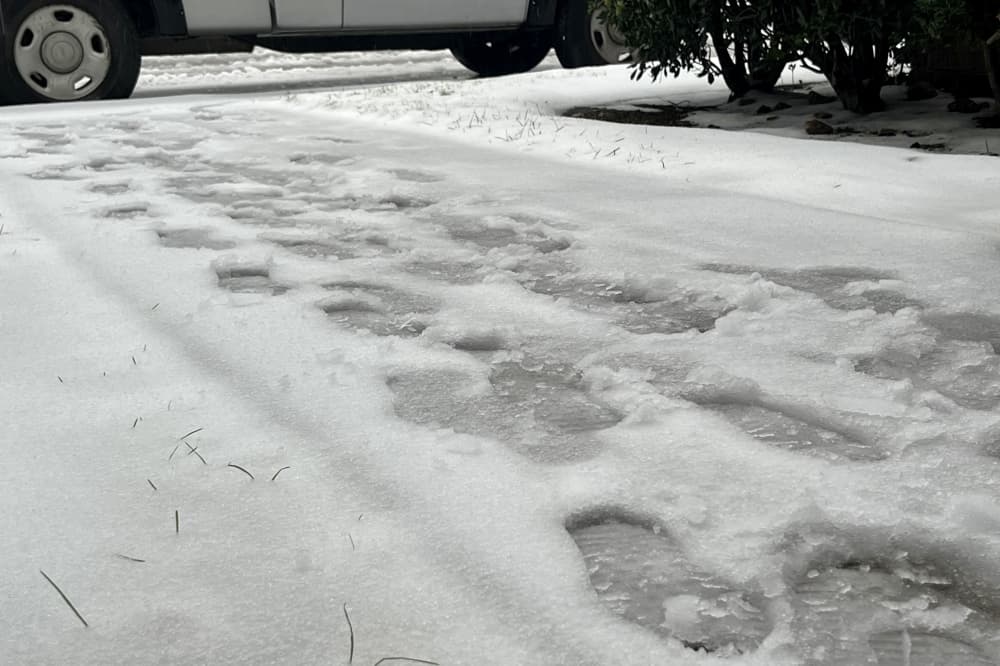 Plano city facilities temporarily closed, services suspended amid icy conditions