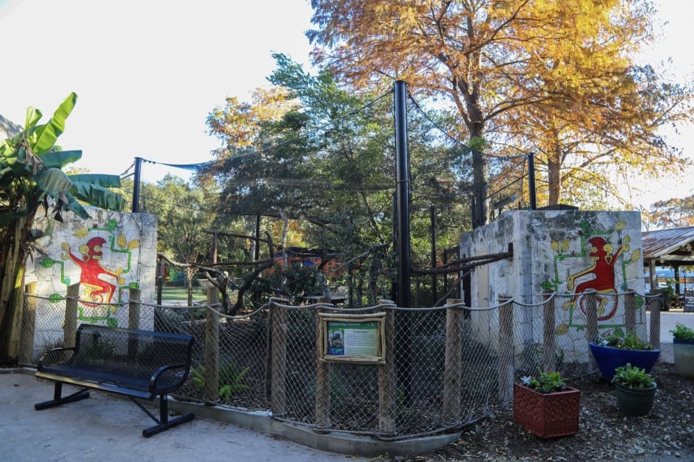 amarin enclosure