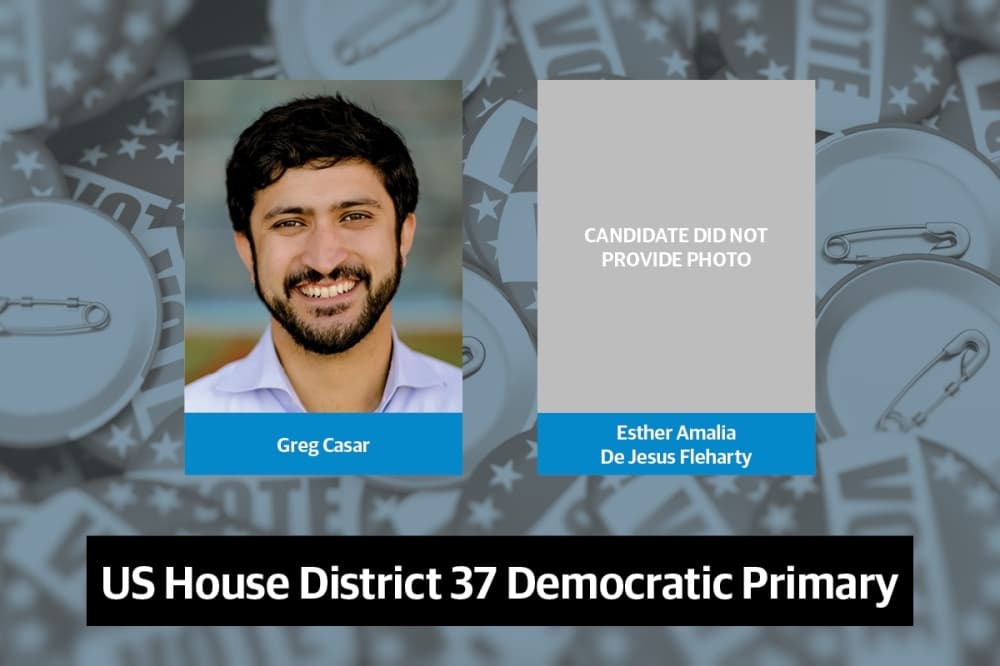 Q&A: Get to know candidates in the US House District 37 Democratic primary