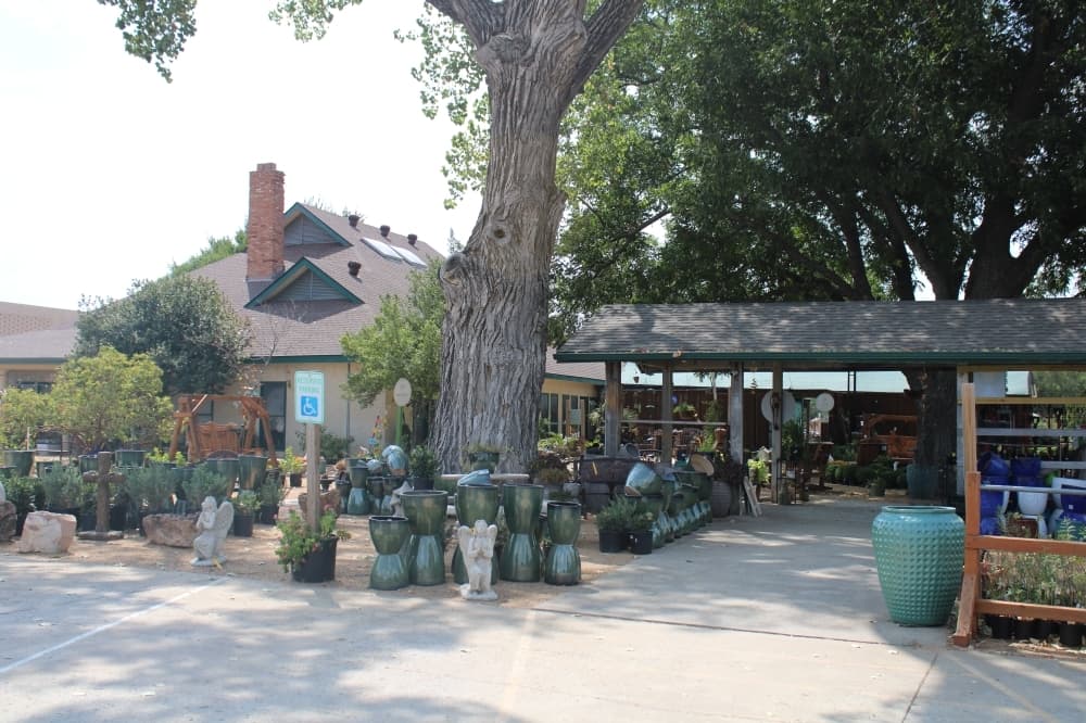 Shades of Green nursery closes Frisco location, consolidates in Celina