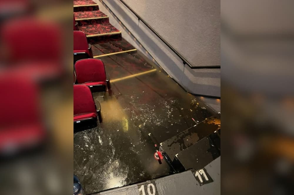 Georgetown Palace Theatre sustains flood damage following winter weather