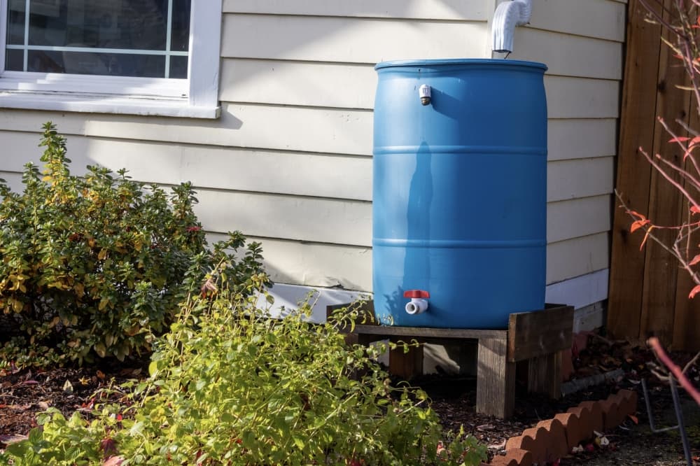 Discounted rain barrels available for Georgetown water customers