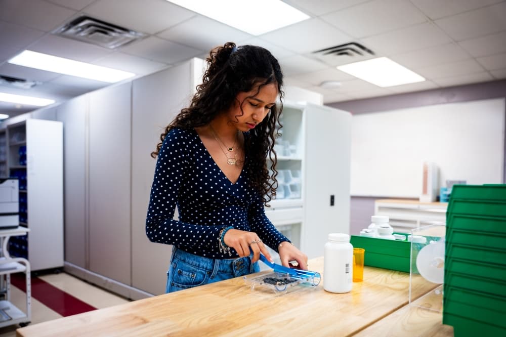 Bastrop ISD student working in pharmacy lab