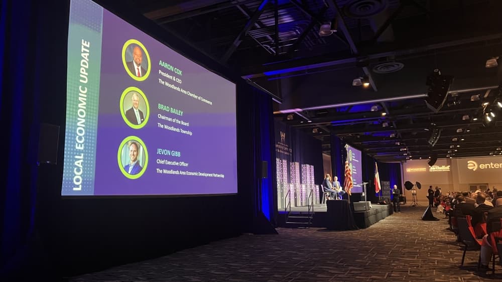 panel speakers and a screen