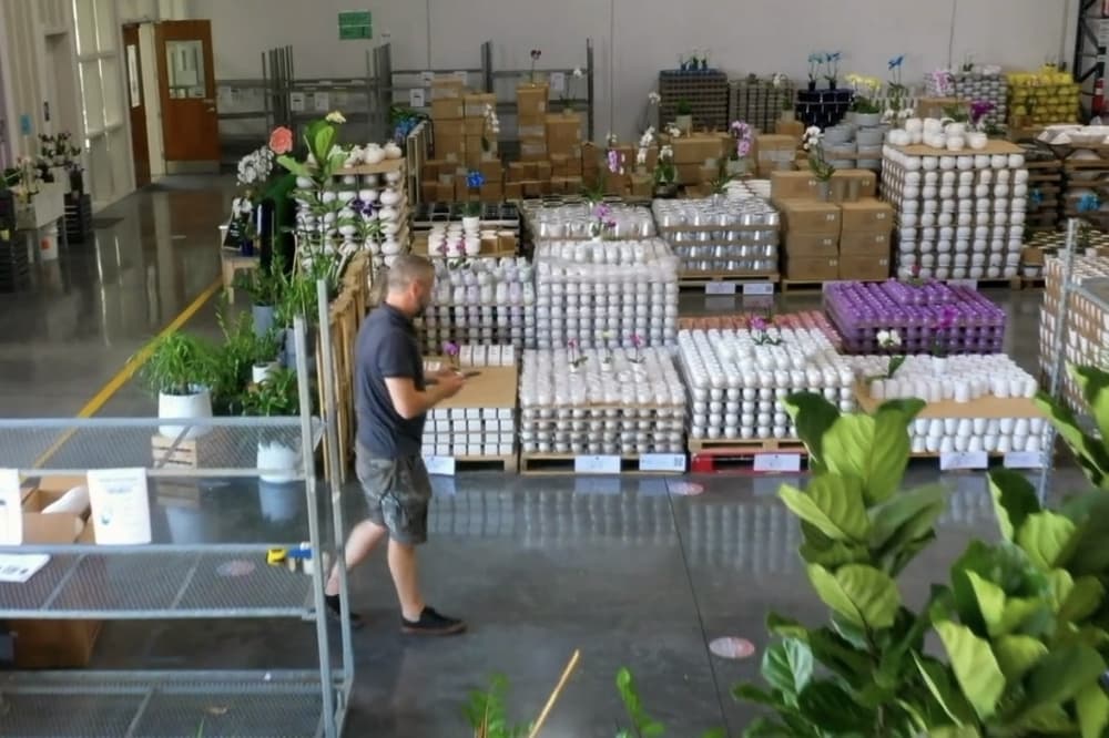New wholesale floral supplier opens in the Heights