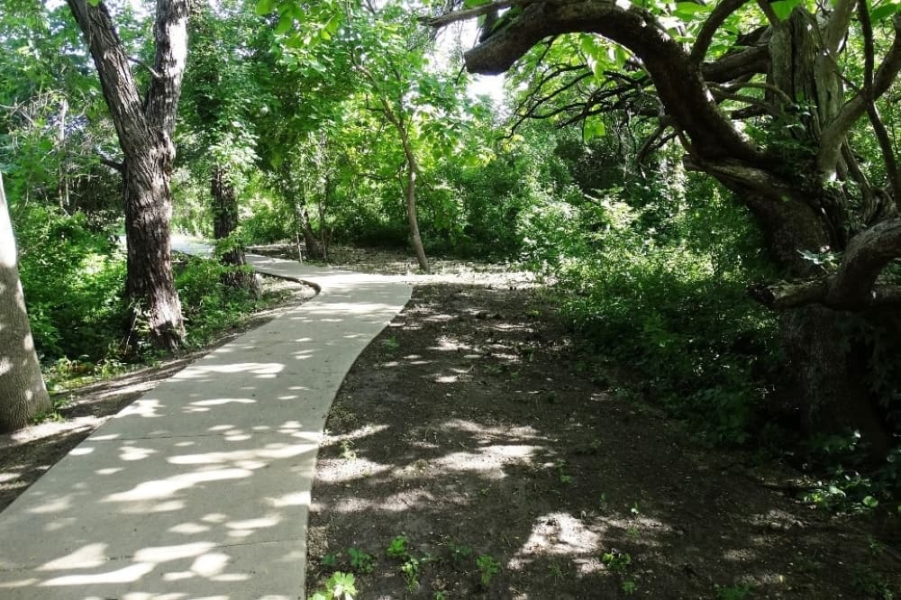 Portion of Gilleland Creek Trail in Pflugerville to close