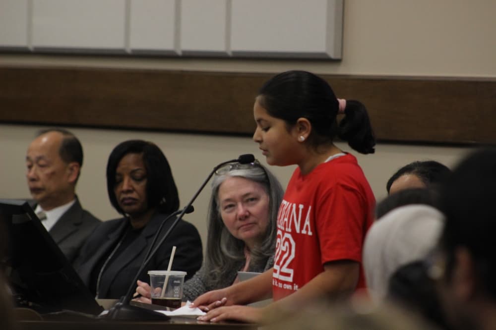 Several students also addressed the board during public comment. (Aubrey Howell/Community Impact)