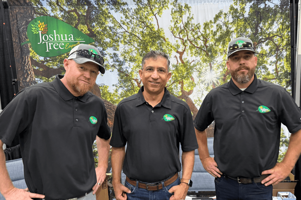 Certified arborist and leadership in Houston performing tree pruning, fertilization, and storm damage remediation for residential yards