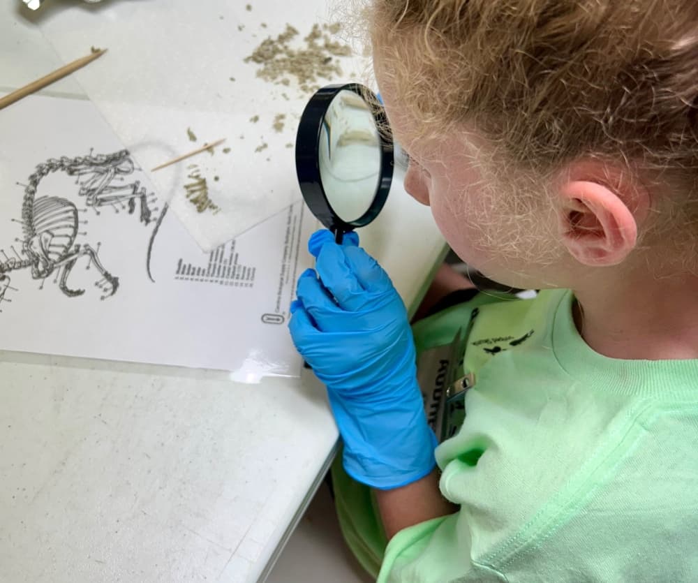 Friends of Texas Wildlife offers hands-on learning about native Texas wildlife. (Courtesy Friends of Texas Wildlife)