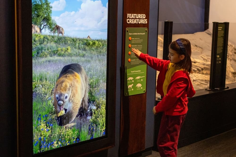 An image of a child looking at the panels. 