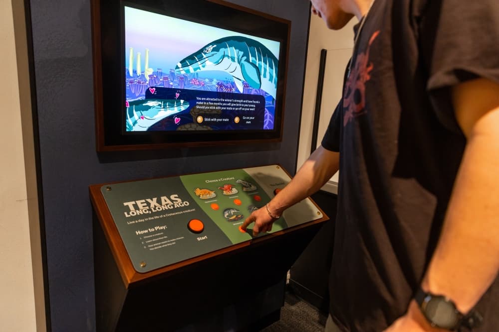 An image of someone playing the game. 