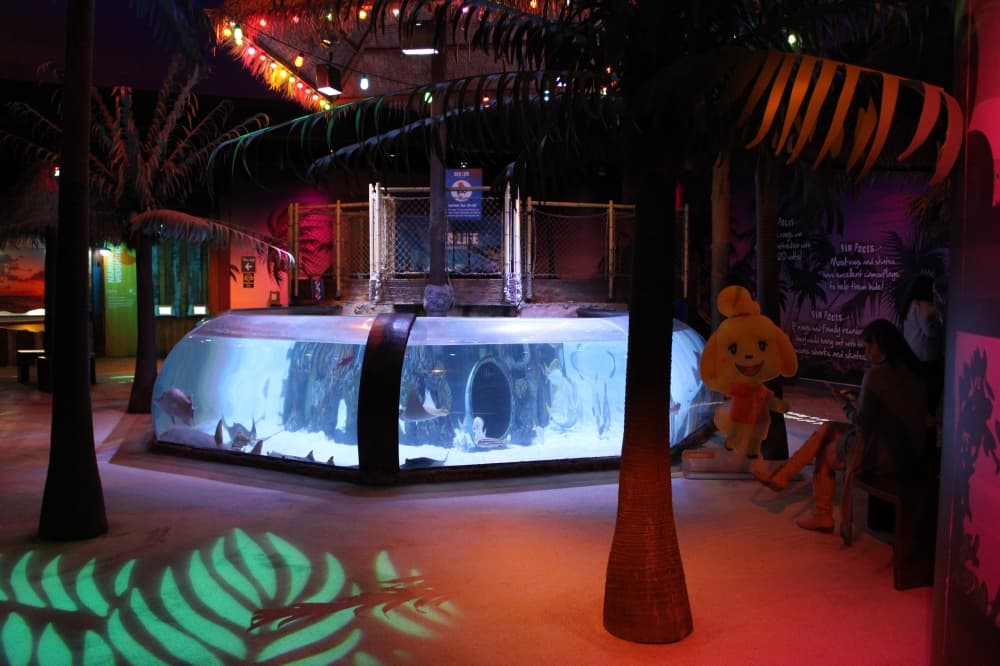 An Isabelle cardboard cut-out is displayed for visitors at SeaLife Grapevine. (Patricia Ortiz/Community Impact)