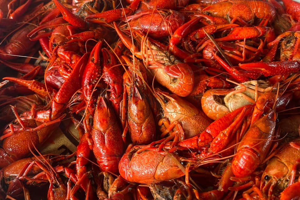 Renegade Crawfish Company gets the boil rolling in Smithville