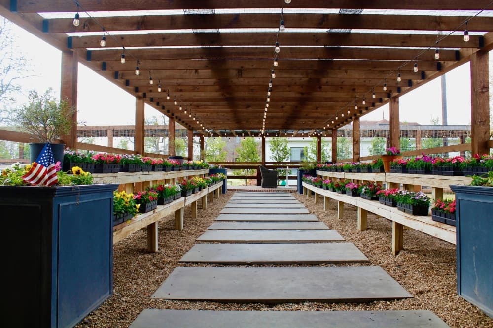 The outdoor space with plants
