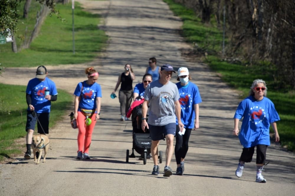 A group of people walk down a street facing the camera with their dogs on a sunny day.