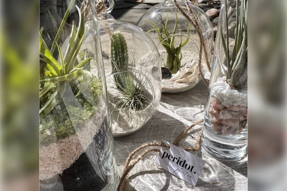 Terrariums