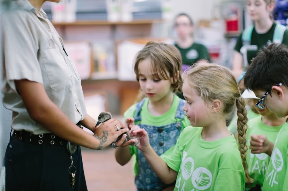Camp guide: 33 educational summer camps in North San Antonio for 2026