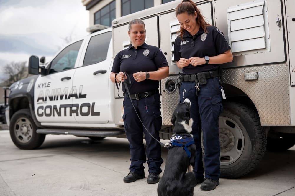 Joint animal services plan underway as San Marcos deal winds down