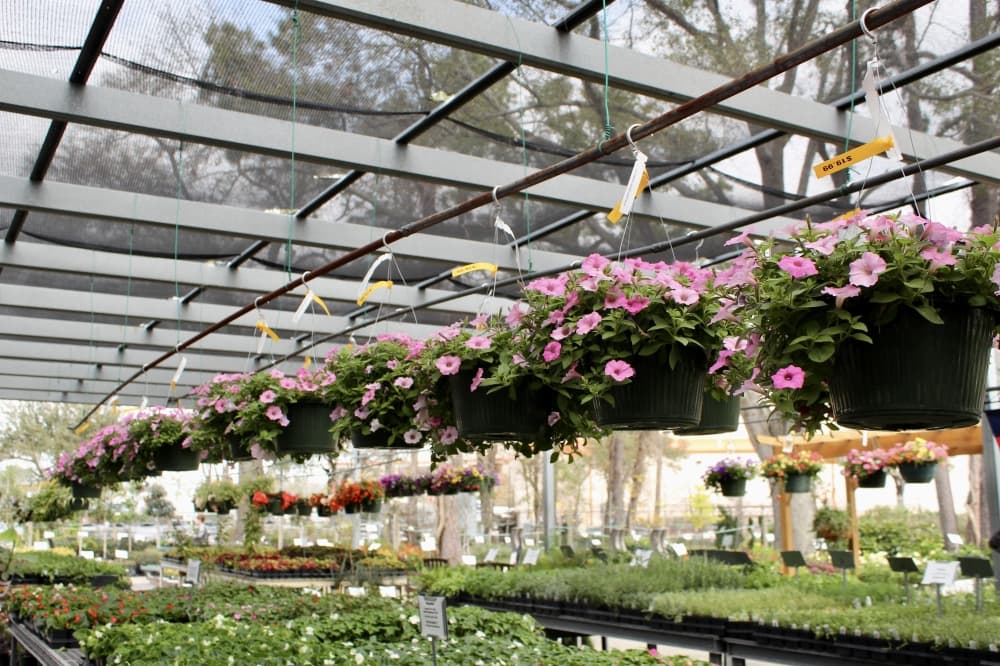 Plants for all Seasons is family-operated nursery owned by Kelly Kock, Sherri Harrah, Cody Flaherty and James Flaherty. (Jovanna Aguilar/Community Impact)