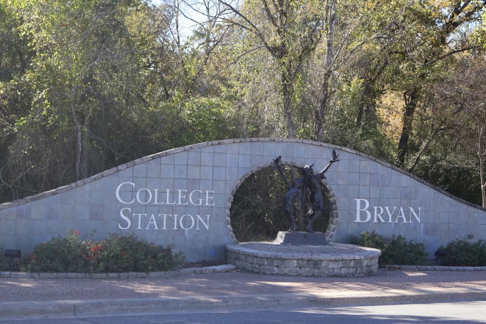 Here's what election day voters in Bryan-College Station need to know before the March 3 primary
