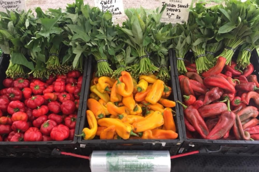 What to know about using SNAP benefits at farmers markets