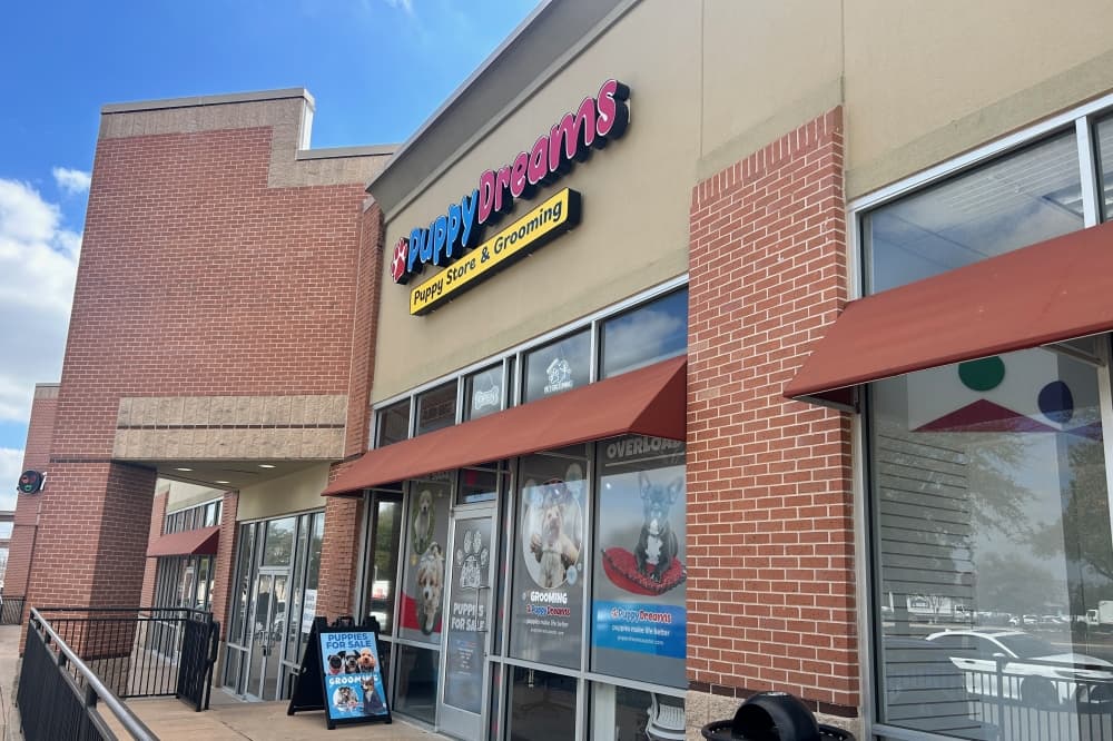 Puppy Dreams Puppy Store & Grooming now open in Round Rock