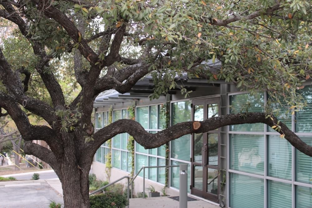 San Antonio-based law firm changes name