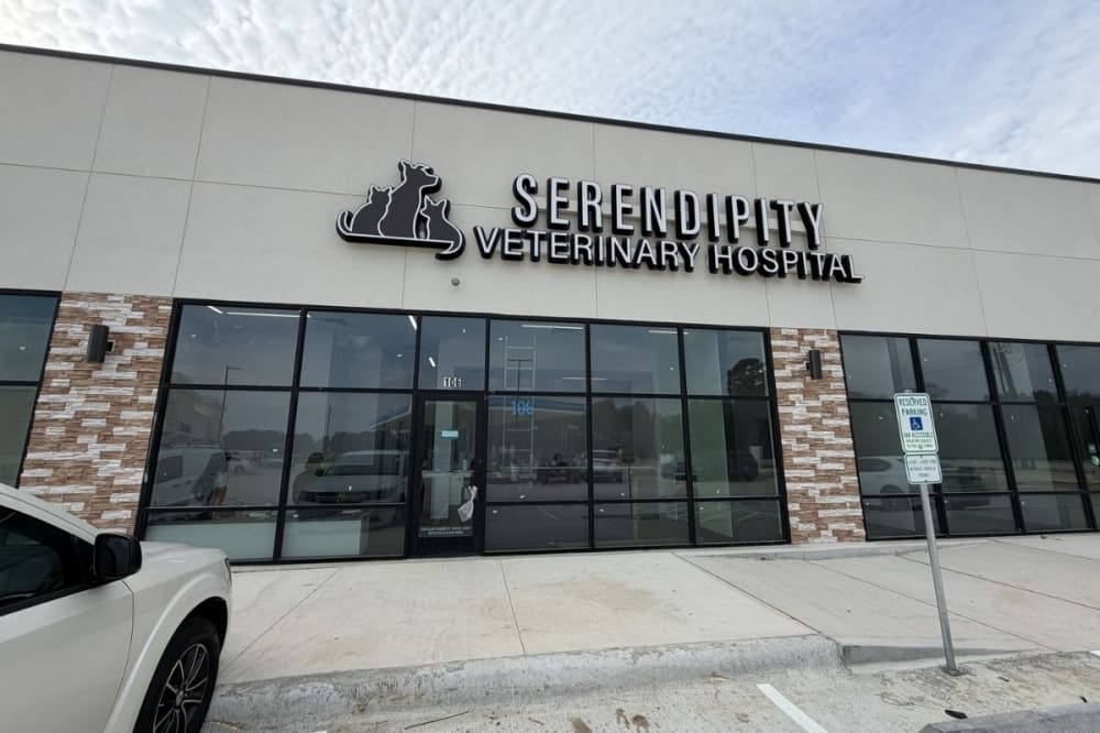 Serendipity Veterinary Hospital now open in Cypress Rosehill area