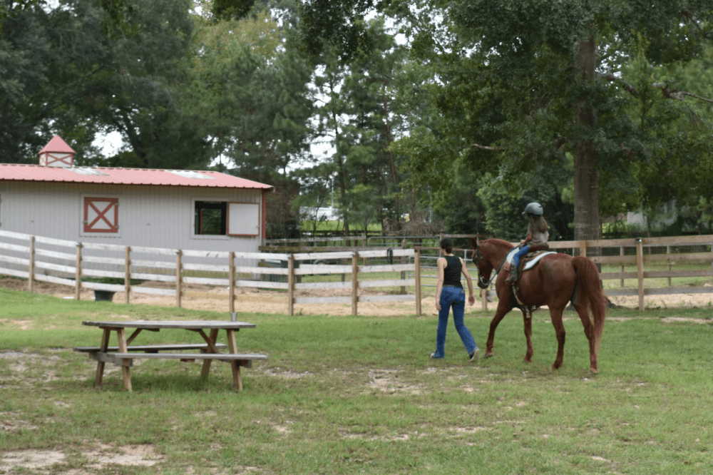 Person walking by horse