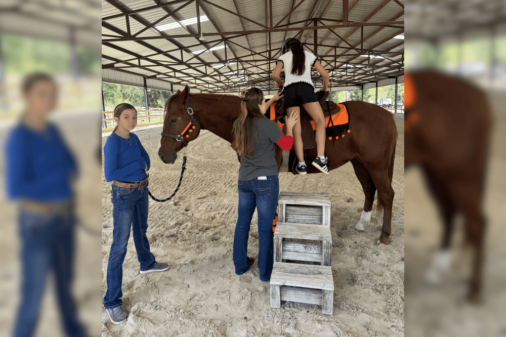 Person mounting a horse