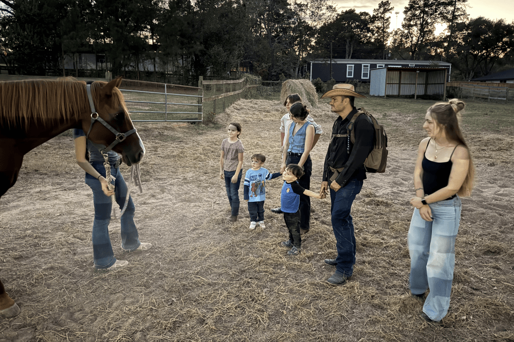People gathered around a horse