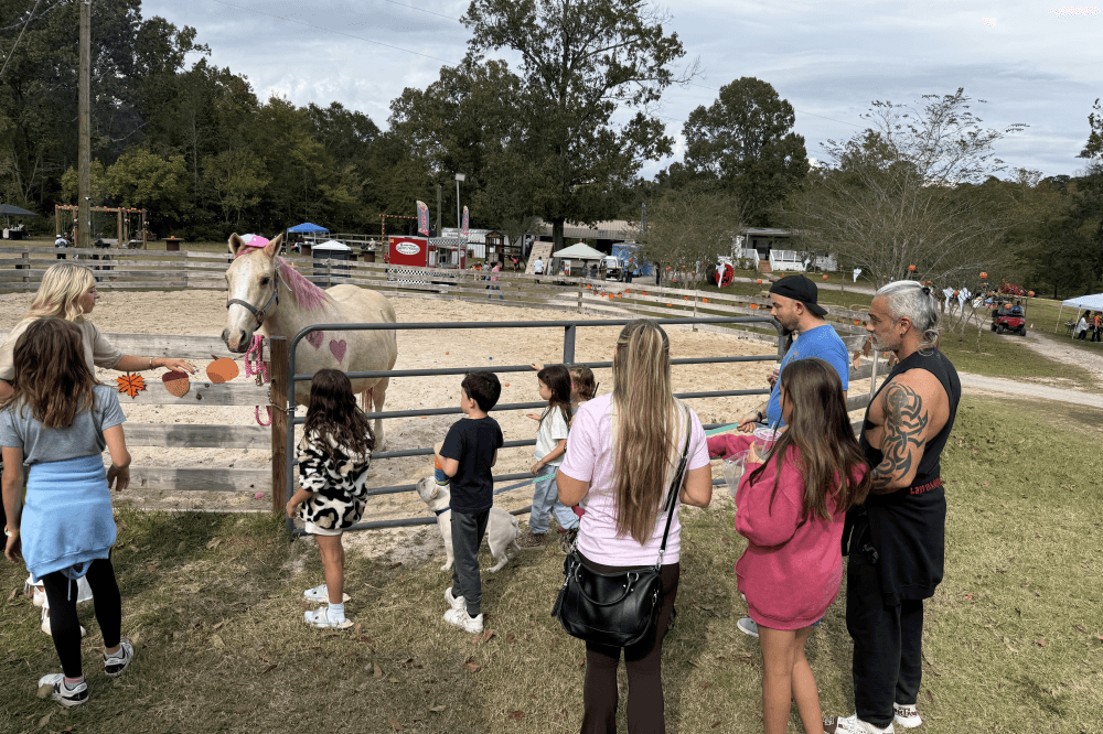 People looking at a horse