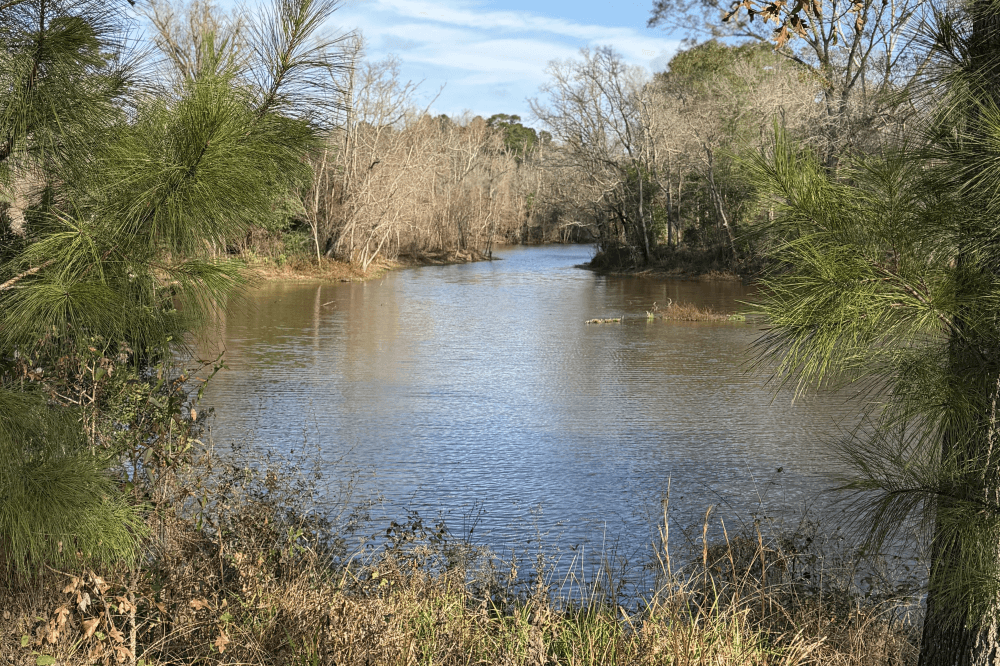 Creek at Twisted Trail Ranch