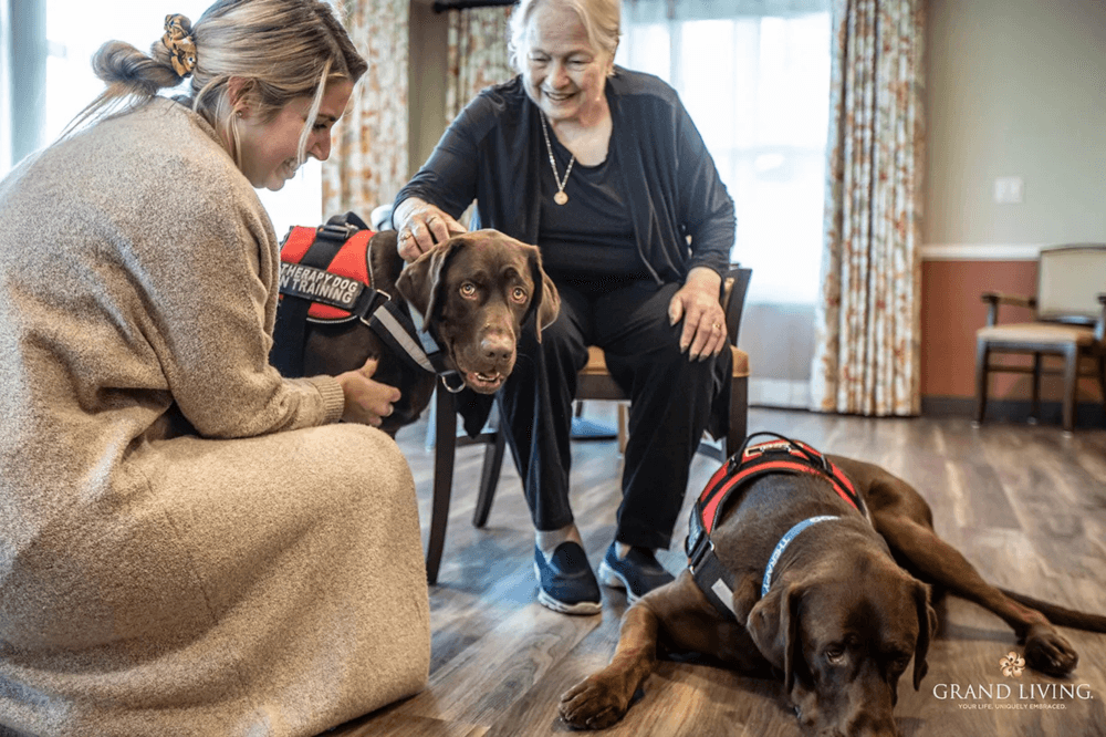 resident petting a service dog and talking to a staff member