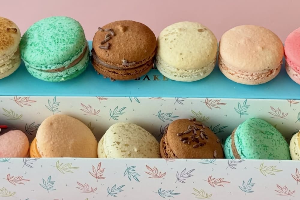 Acai bowls, ice cream: See 5 businesses offering treats in Spring this summer