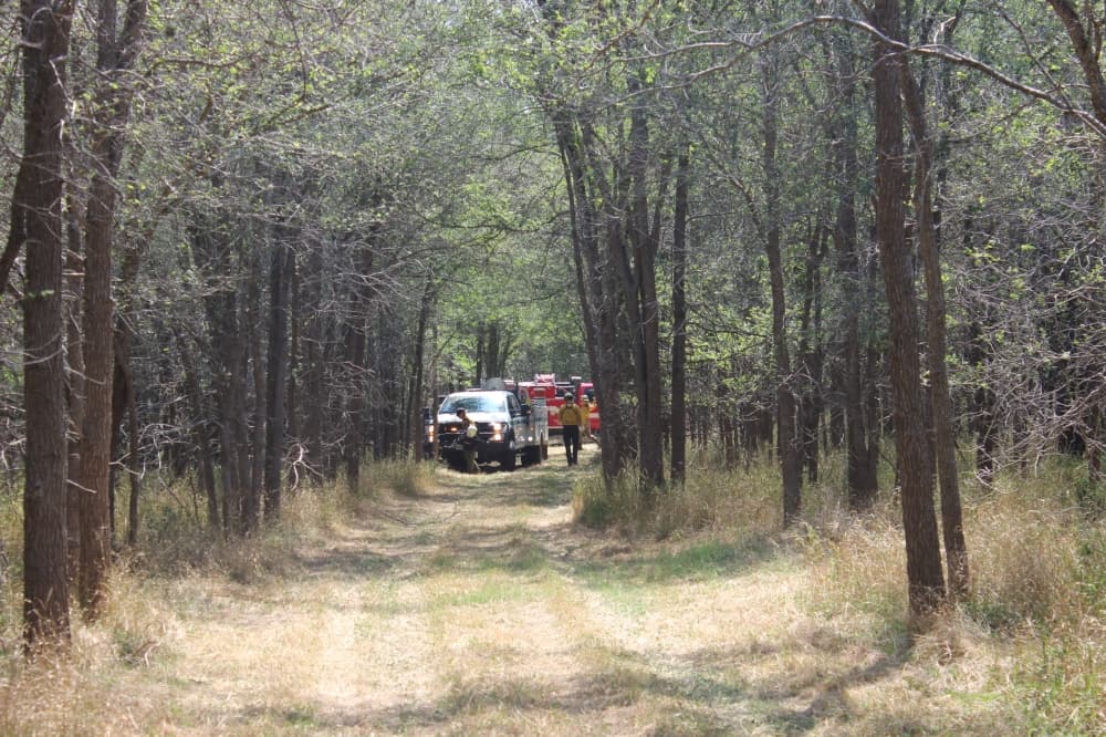 Travis County unveils 10-year parks plan with 35 recommended projects