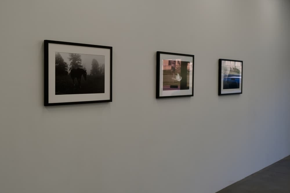 The Mama Americana by Cindy Elizabeth is showing in Hyde Park from Feb. 27-March 28. (Gracie Warhurst/Community Impact)