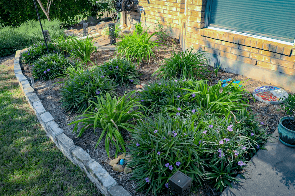 native landscaping